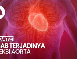 Faktor Utama Penyebab Terjadinya Diseksi Aorta