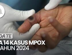 Kemenkes Temukan 14 Perkara Hukum Hukum Mpox Ke Tahun 2024