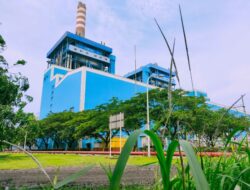 PLN IP Manfaatkan Green Ammonia Sebagai Bahan Bakar Alternatif PLTU