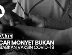 Bantahan Kemenkes soal Narasi Mpox Efek Samping Imunisasi Covid-19